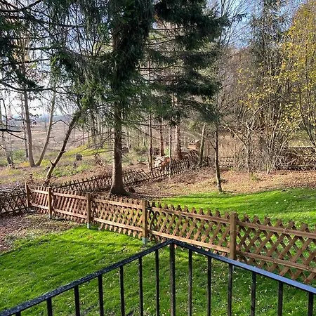 Steinbachhütte 1 Ferienhaus *